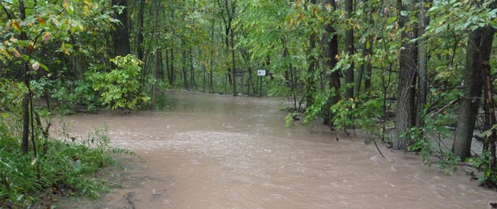 Mahon Creek during spring flood.