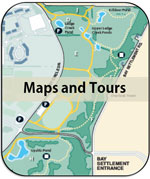 maps and tours
