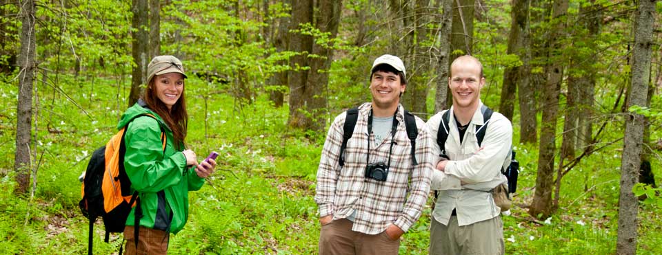 Researchers at the Wabikon Plot