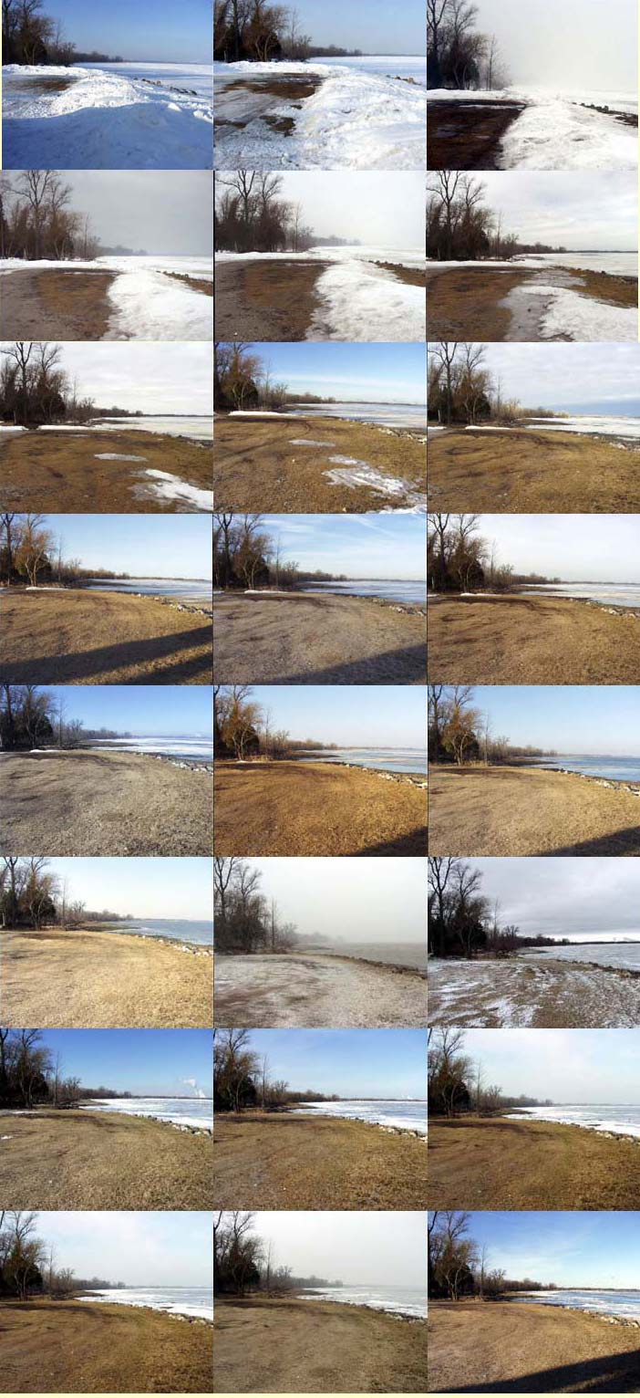 bayshore series showing environmental change.