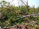 tornado damage