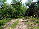 tornado damage