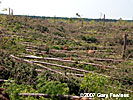 tornado damage
