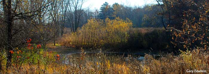 Prairie Pond