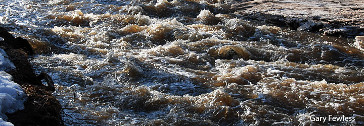 Baird Creek March 17, 2009