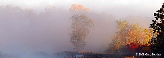 fog near the East River in Allouez