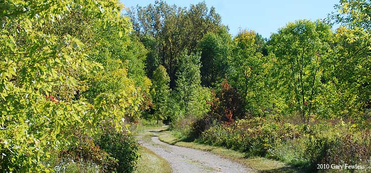 early Fall colors, UW-Green Bay Sep. 22, 2010