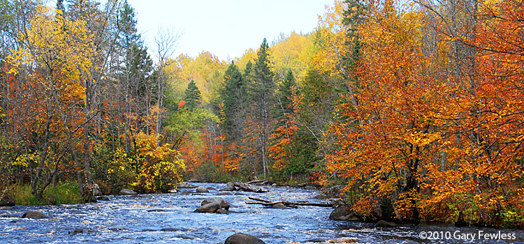 Forest County Oct 3, 2010