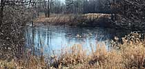 prairiePond ice