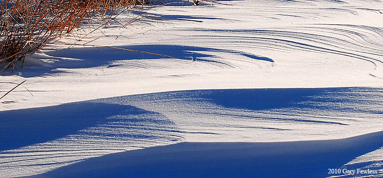 snow in prairie, UW-Green Bay Cofrin Arboretum