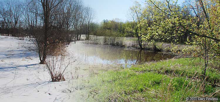 transition to spring