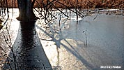 prairie Pond Ice
