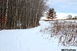 path in snow