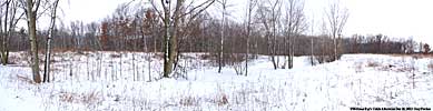 forest, pond and prairie panorama