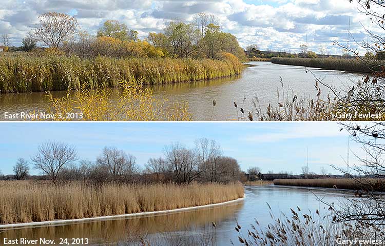 East River, Allouez Nov. 3, 2013