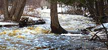 spring flood at Baird Creek 