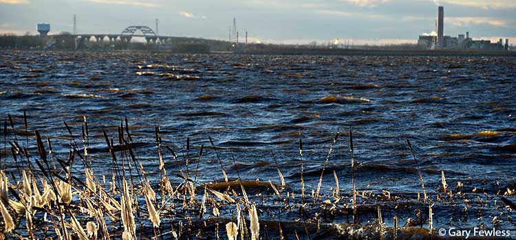 Green Bay from UWGB shore Nov. 13, 2014