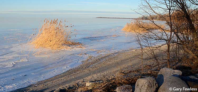 Green Bay shoreline from UWGB