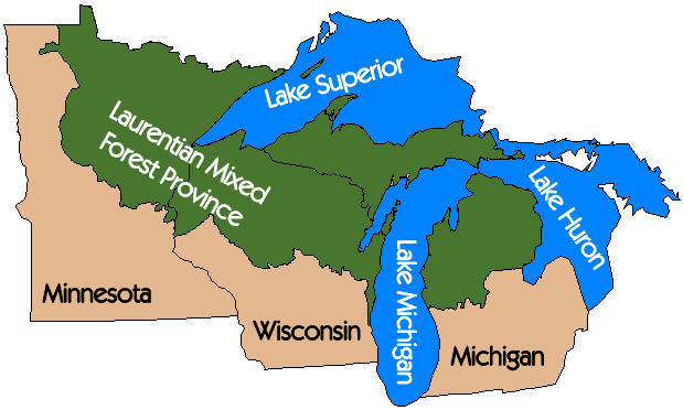 map of great lake states with laurentian province