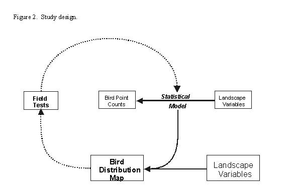flow chart of study design