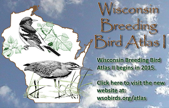 Birds Of Wisconsin Chart