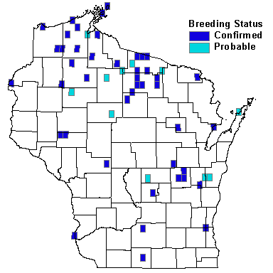 American Black Duck Map