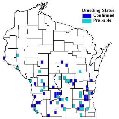 Acadian Flycatcher Map