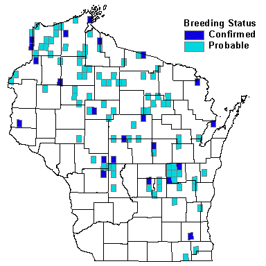 American Bittern Map