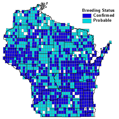 American Goldfinch Map