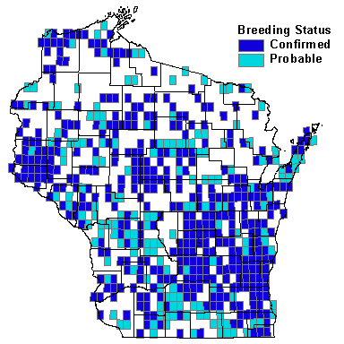 American Kestrel Map