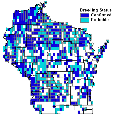 American Redstart Map