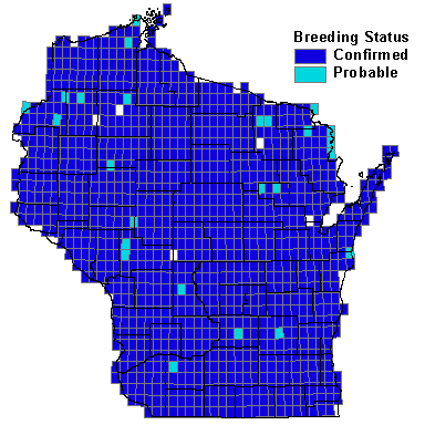 American Robin Map