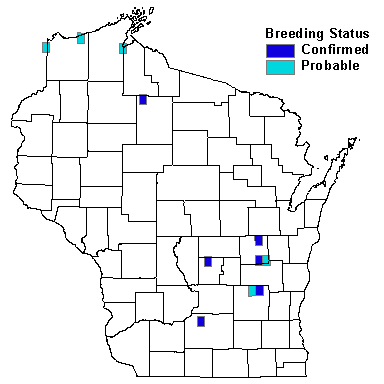 American Wigeon Map