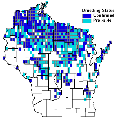 Black-and-white Warbler Map