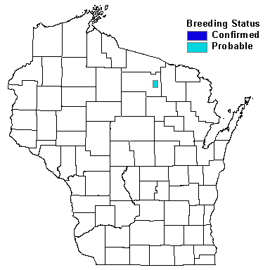 Bay-breasted Warbler Map