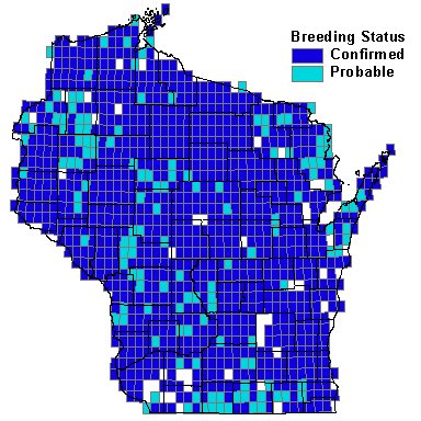 Black-capped Chickadee Map