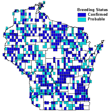 Belted Kingfisher Map