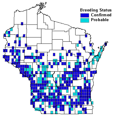 Blue-gray Gnatcatcher Map