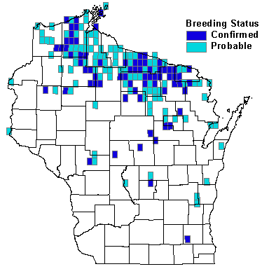 Blue-headed Vireo Map