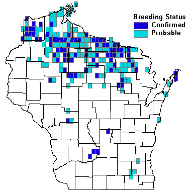 Blackburnian Warbler Map