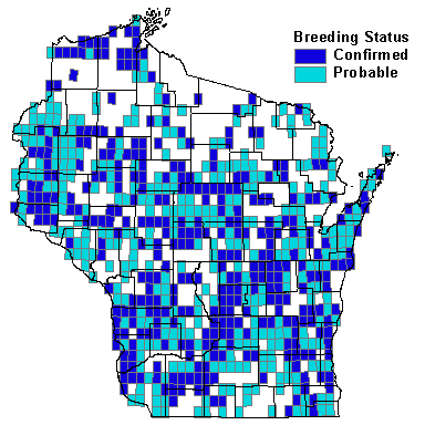 Bobolink Map