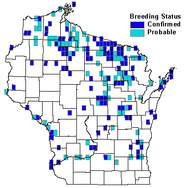 Brown Creeper Map