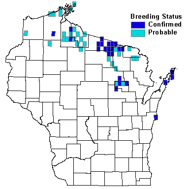 Black-throated Blue Warbler Map