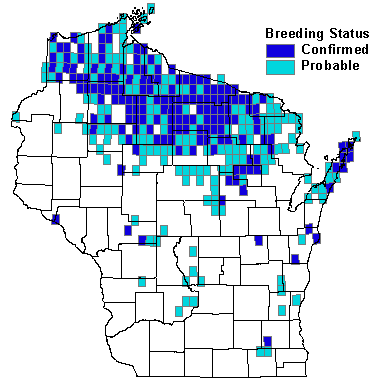 Black-throated Green Warbler Map