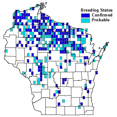 Broad-winged Hawk Map