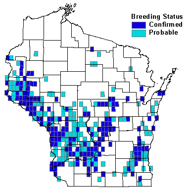 Blue-winged Warbler Map