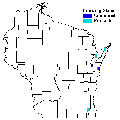 Caspian Tern Map