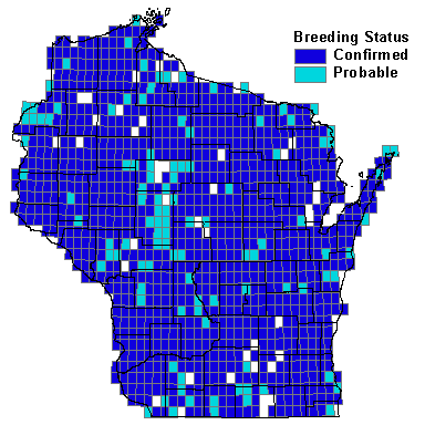 Chipping Sparrow Map