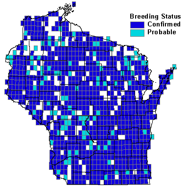 Common Grackle Map