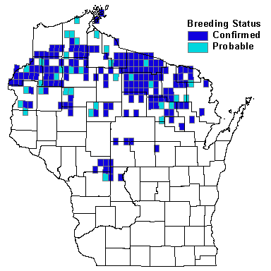 Common Loon Map